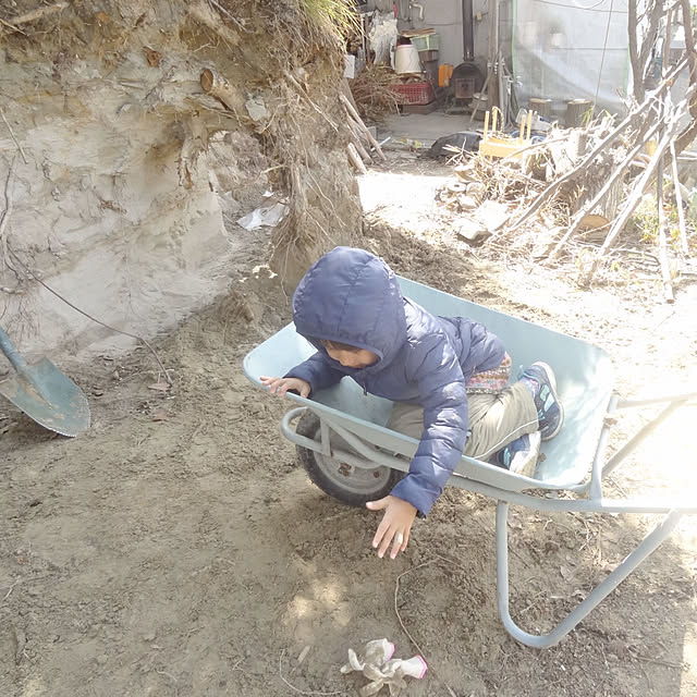 littlejoyさんの実例写真
