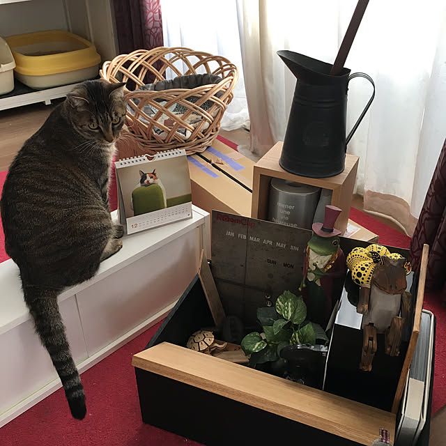 mikomaruさんの実例写真