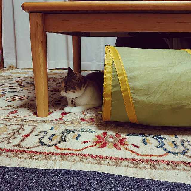 fukuさんの実例写真