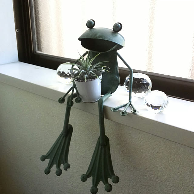 Renさんの実例写真