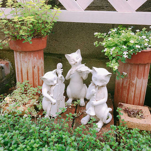 yopo.42さんの実例写真