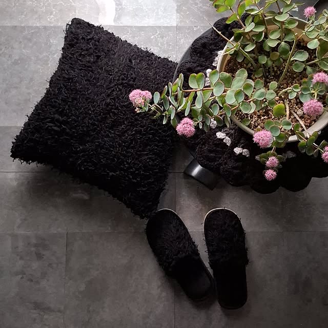 noaさんの実例写真