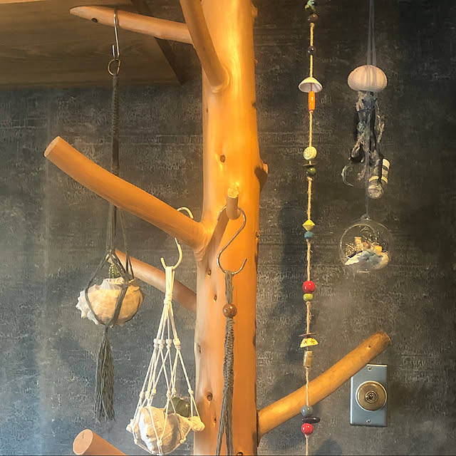 fgtomatoes0560さんの実例写真