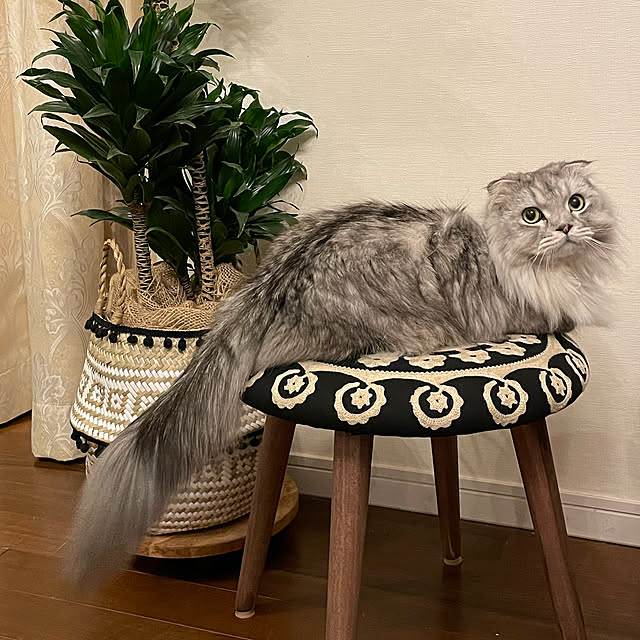 hirominさんの実例写真