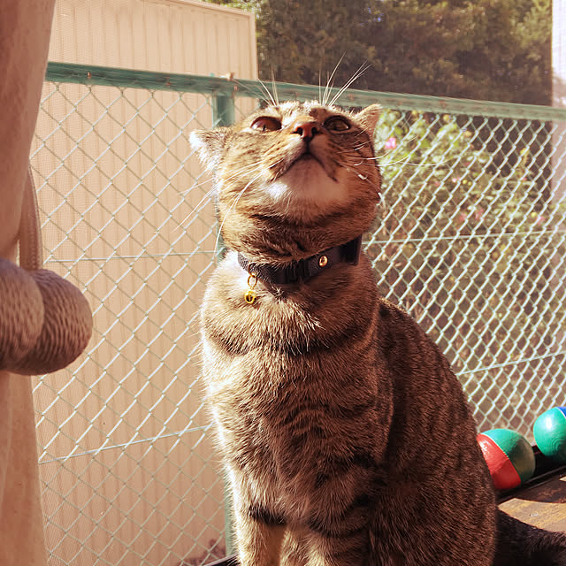 Mさんの実例写真