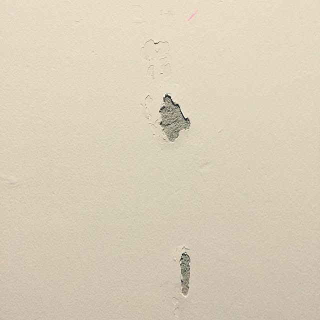 Ichihoさんの実例写真