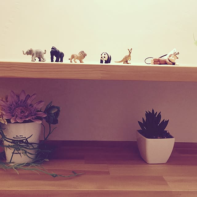 Shokoさんの実例写真