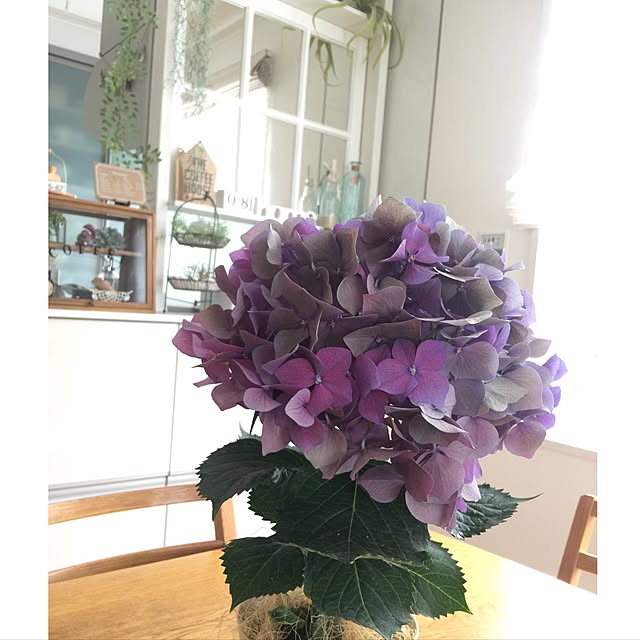 UNI.mamaさんの実例写真