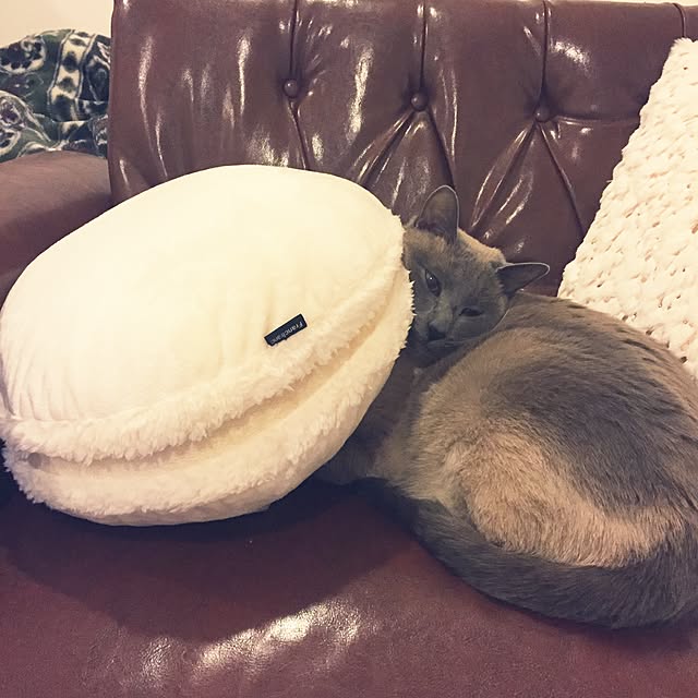 makikoさんの実例写真