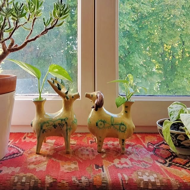 Miiiさんの部屋