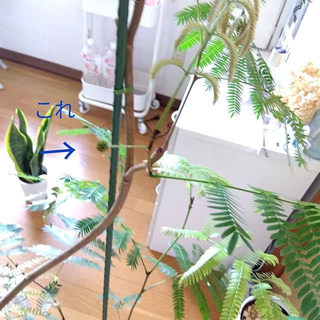 Motomeさんの部屋