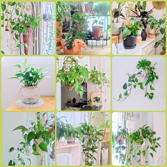 YuriYuriさんの部屋