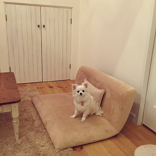 Momoさんの実例写真