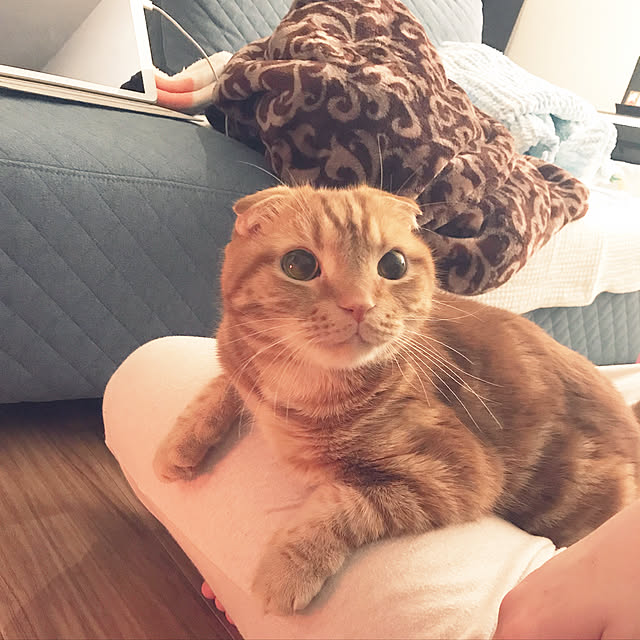 randebuさんの実例写真