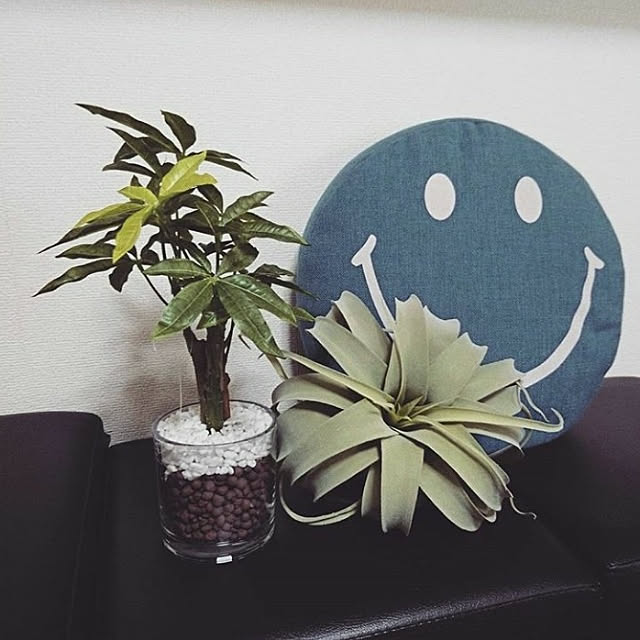 momotarouさんの実例写真