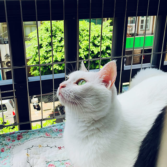 pcu110さんの実例写真