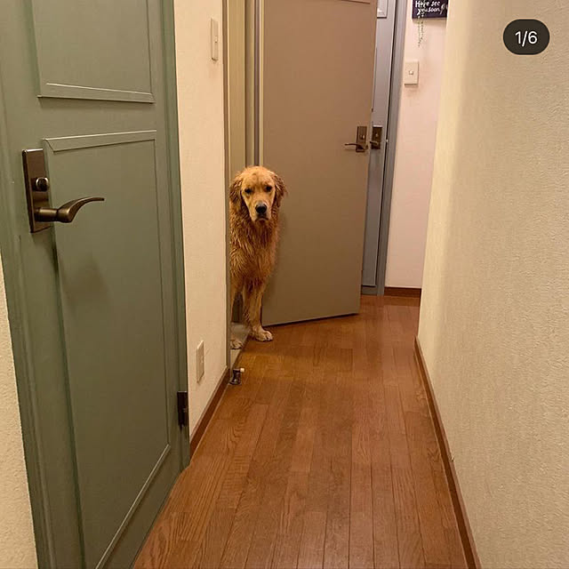 noriさんの実例写真