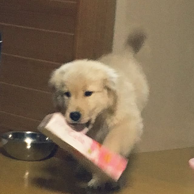kimkimさんの実例写真