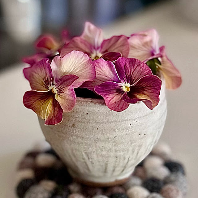 panda.86さんの実例写真