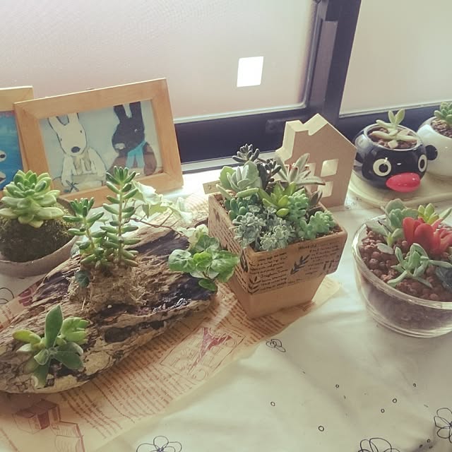 kao.kaoさんの実例写真