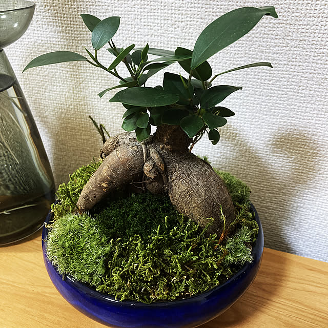 komadoさんの実例写真