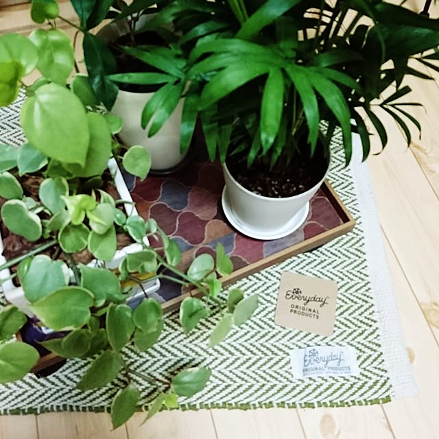 mbjeckさんの実例写真