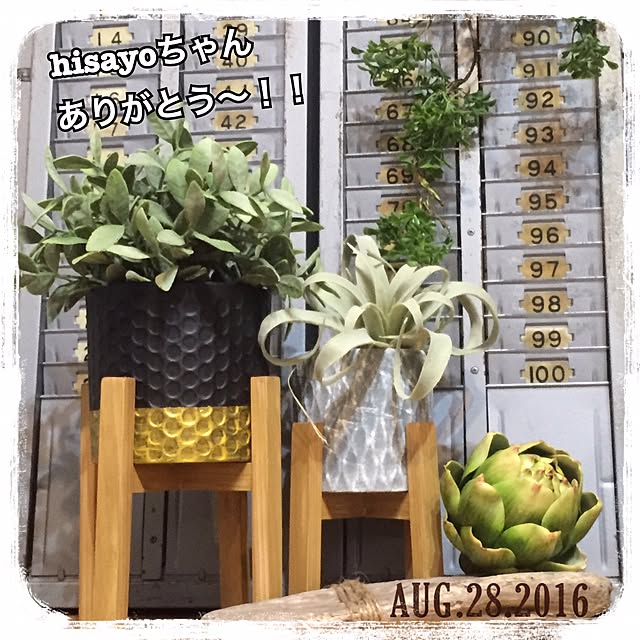 natulove0418さんの実例写真