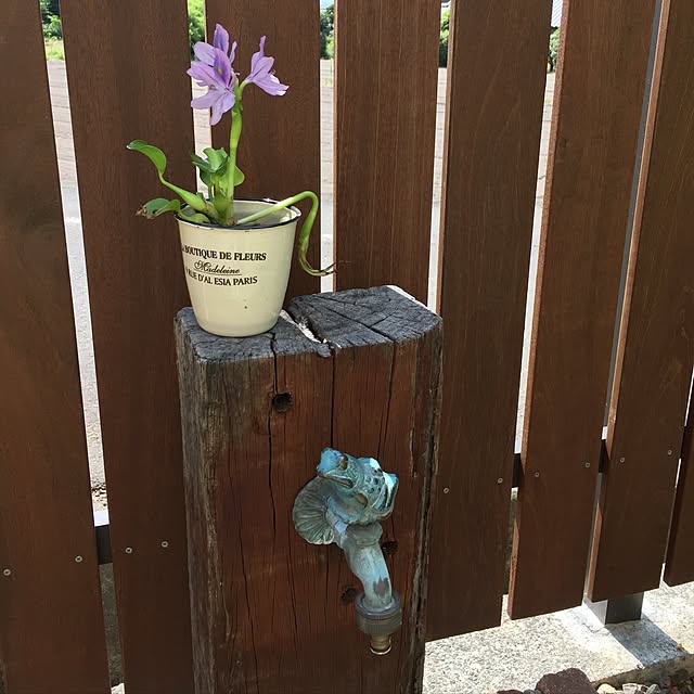 maruさんの実例写真