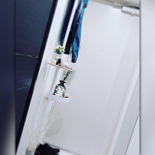 shiさんの実例写真