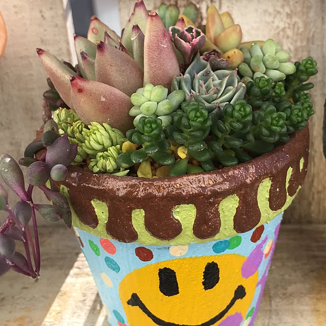 bon-bon-hippieさんの実例写真