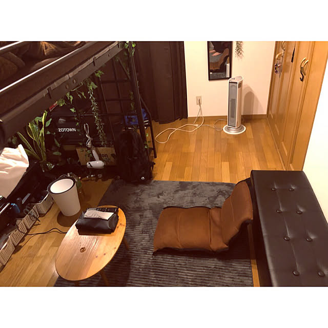 部屋全体/一人暮らし/照明/フェイクグリーン/男前...などのインテリア実例 - 2018-02-01 22:10:01