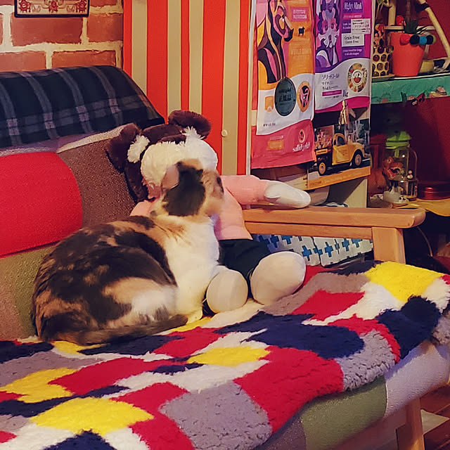 kumutanさんの実例写真