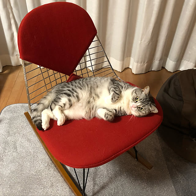 Shojiさんの実例写真