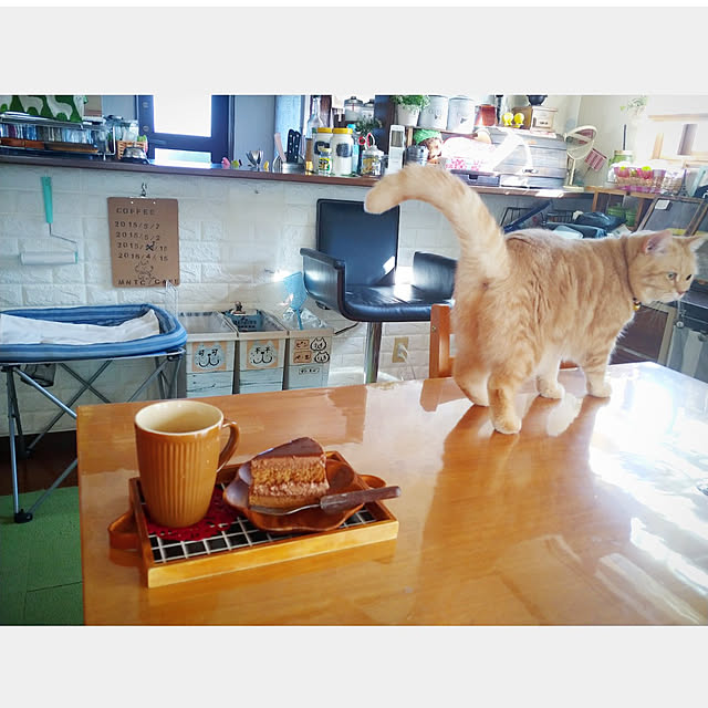 mntcさんの実例写真
