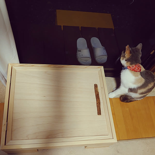 fukuさんの実例写真