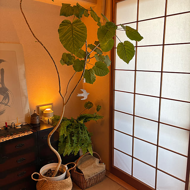 cagosukiさんの実例写真