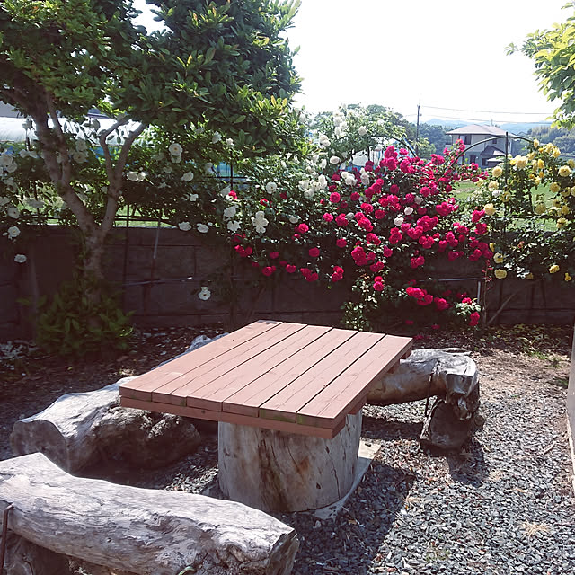 shimaさんの実例写真