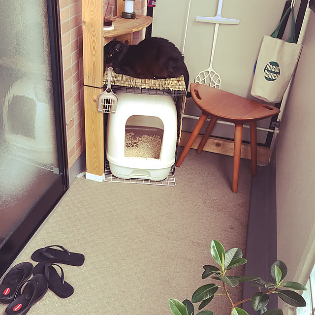 chirotanさんの実例写真