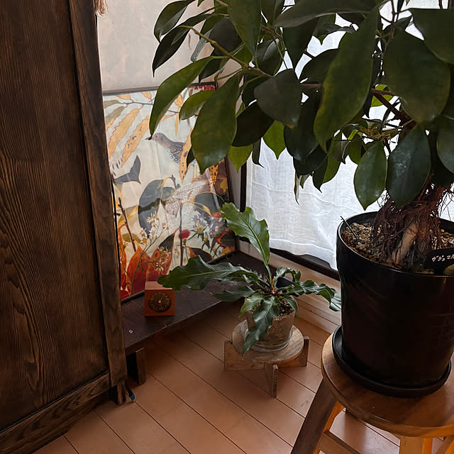 greycatsさんの実例写真