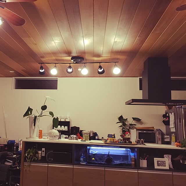 キッチンのインテリア実例 - 2015-11-04 22:09:57