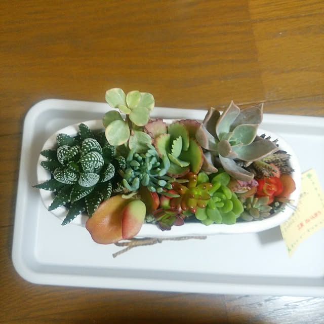 実例写真