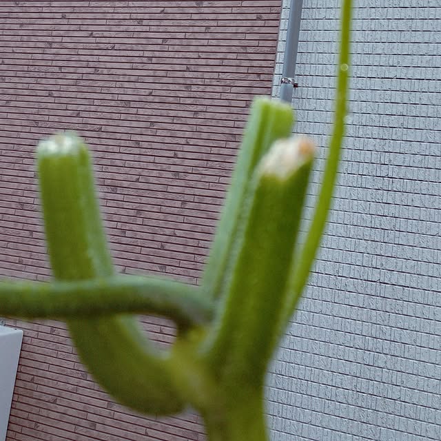 mocomocoさんの部屋