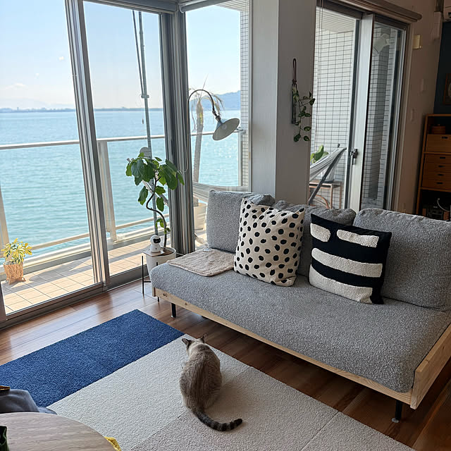 amさんの実例写真