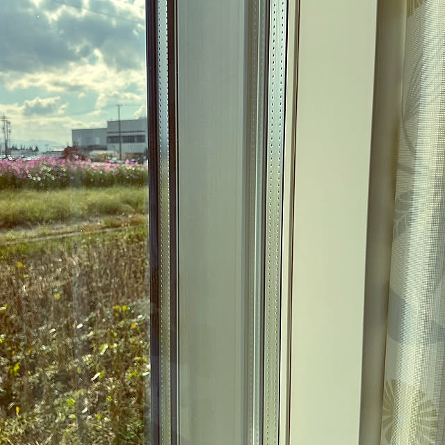 chiiyanさんの実例写真