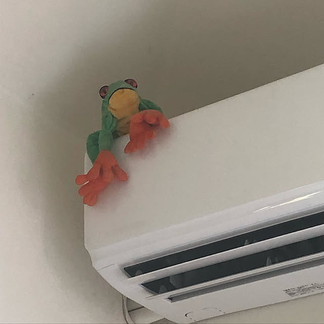 COCOさんの実例写真