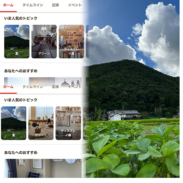 実例写真