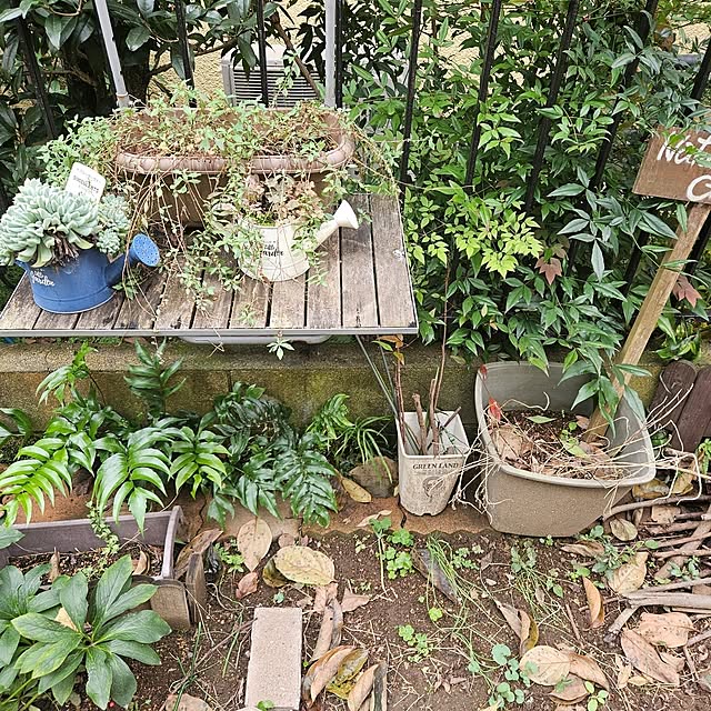 oseroさんの部屋