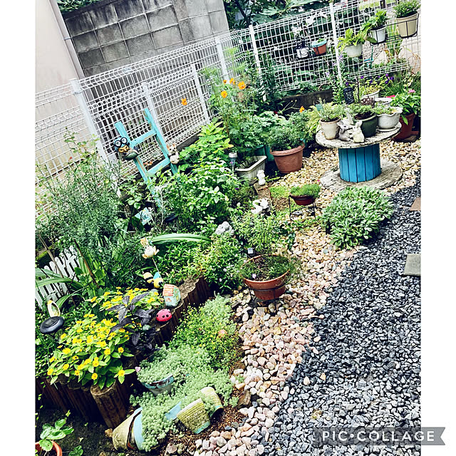 CoCo0617さんの実例写真