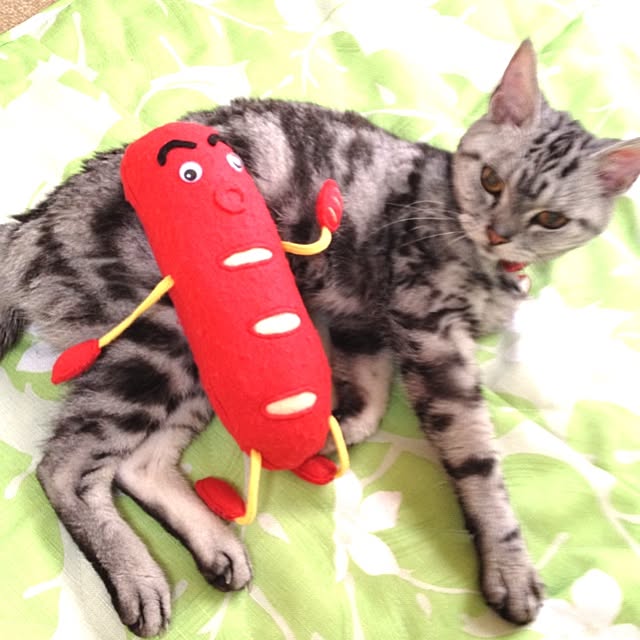 WIENERBOYSさんの実例写真