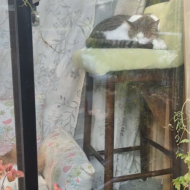 mori_6_12さんの部屋